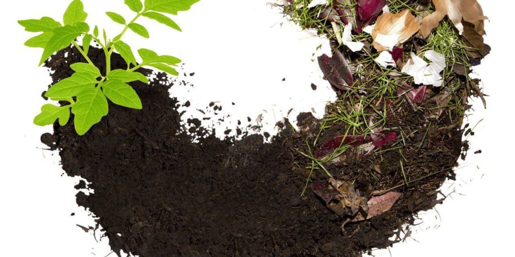 Como Realizar compost casero