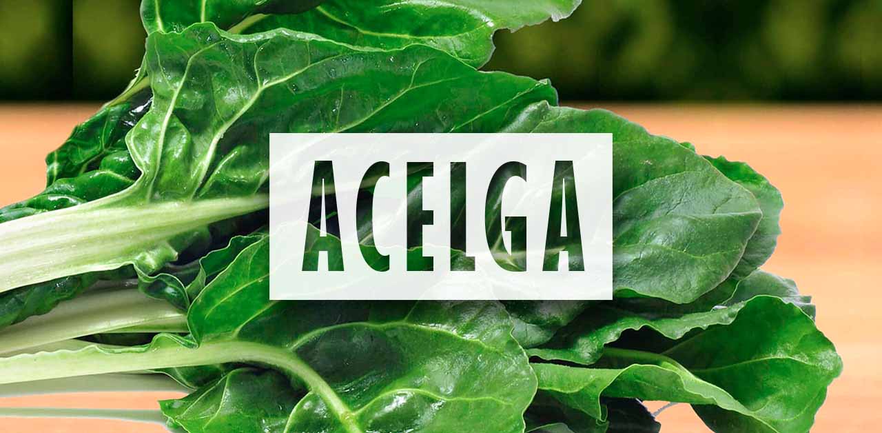 como sembrar acelga en la huerta