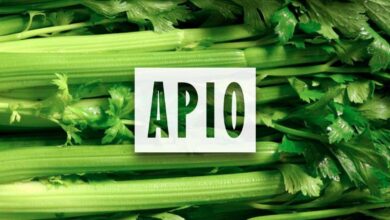 Como sembrar Apio de semilla