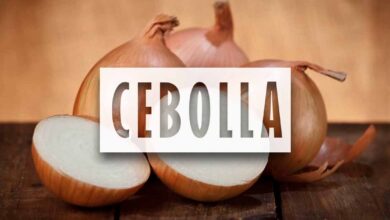 Como cultivar cebollas en la huerta