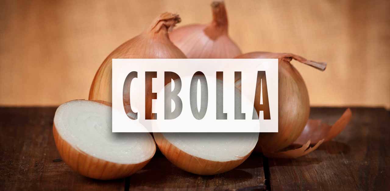 Como cultivar cebollas en la huerta