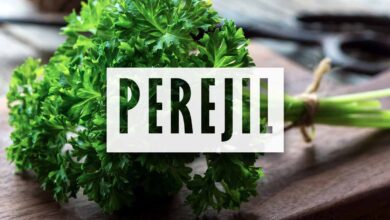 Como plantar perejil