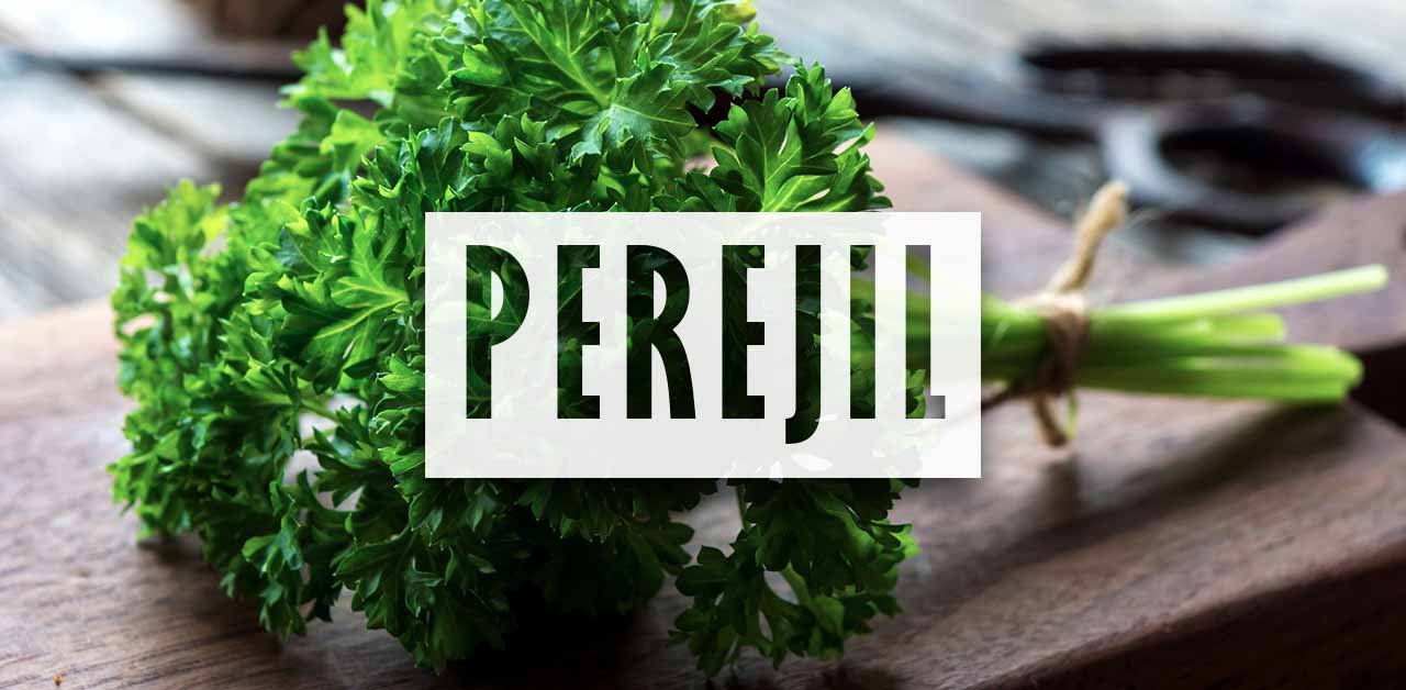 Como plantar perejil