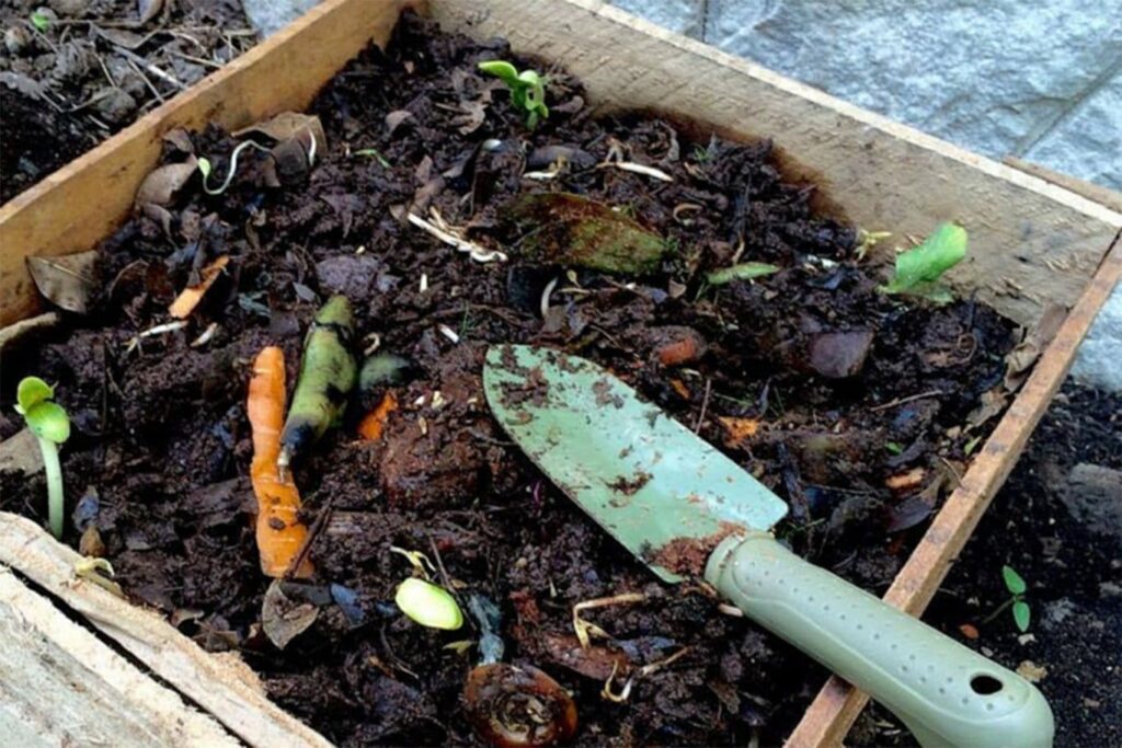 Como hacer compost