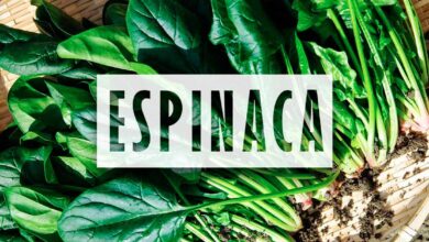 Cómo plantar Espinaca