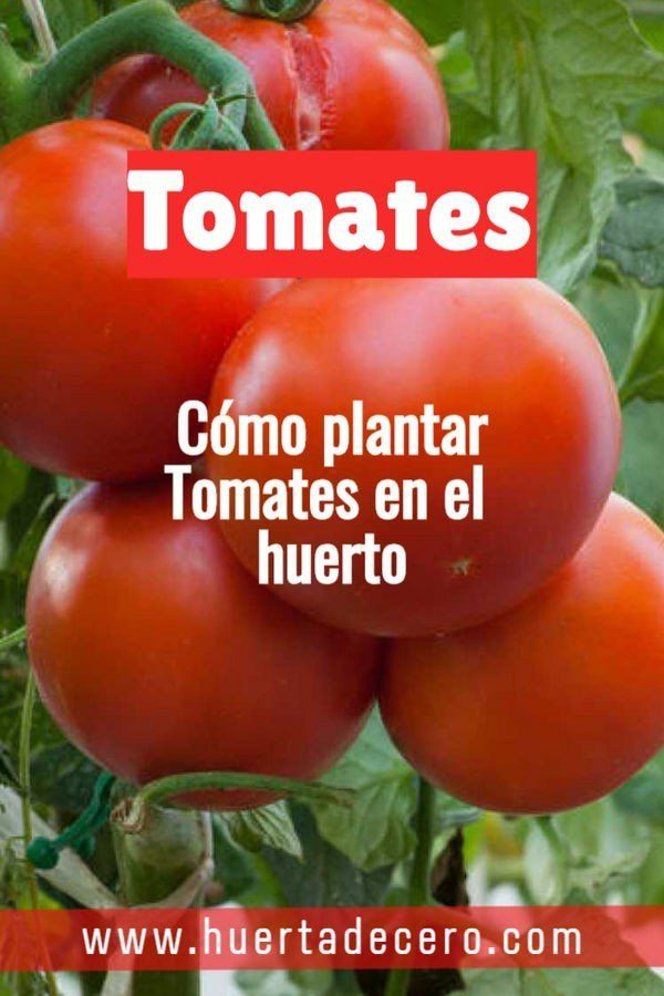 n82O6gVyV415zK01XpMz51590444117