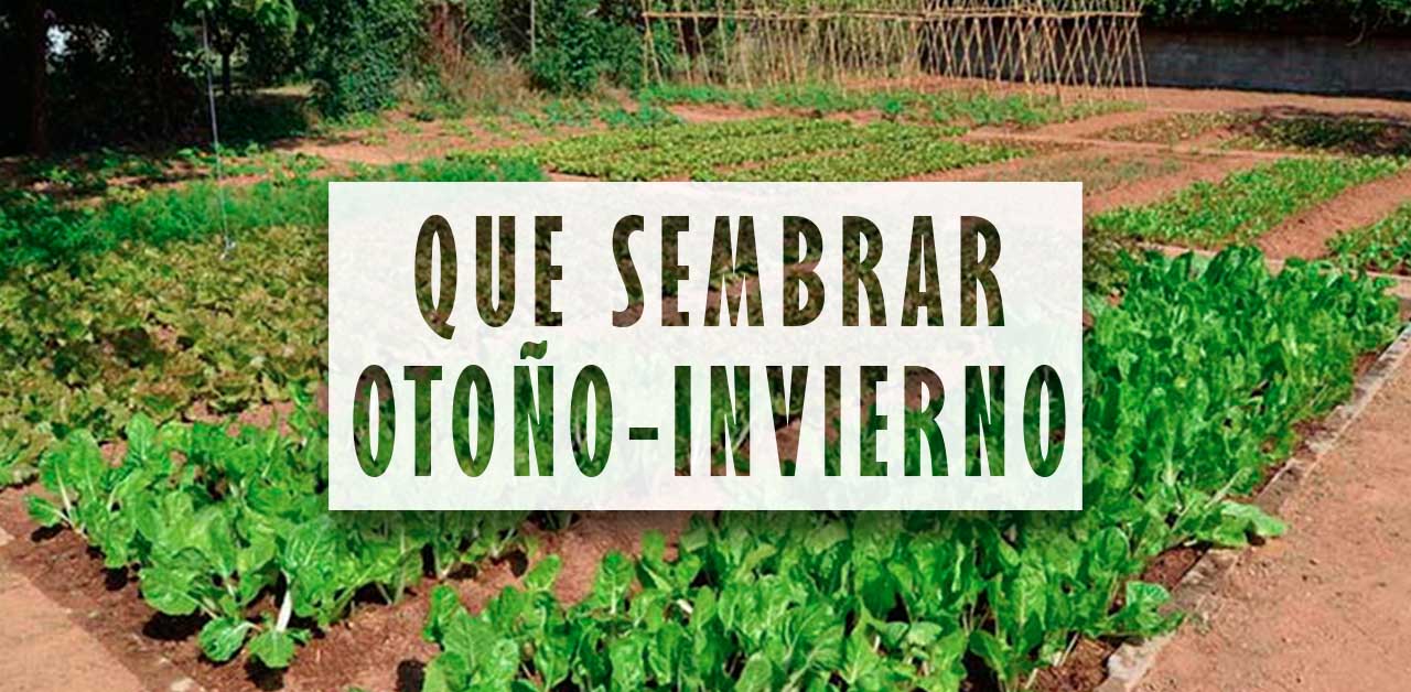 Que sembrar en otoño