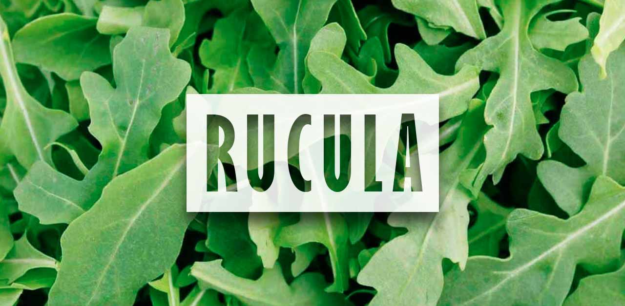 Cómo Sembrar Rúcula