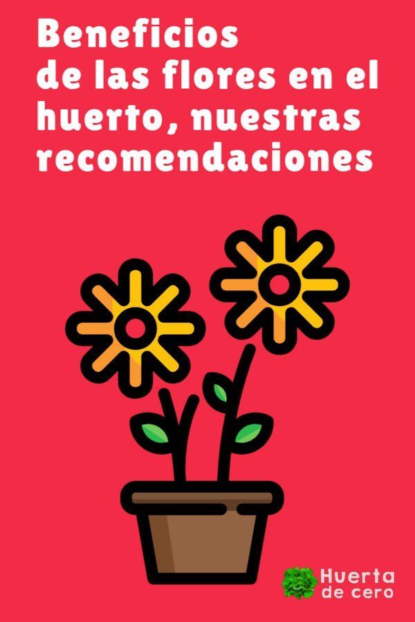 Beneficios de las flores en la huerta