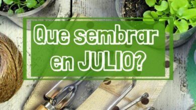 Que sembrar en Julio1