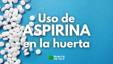 Uso de aspirina en las plantas
