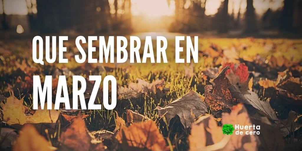 Calendario de siembra - Que sembrar en Marzo