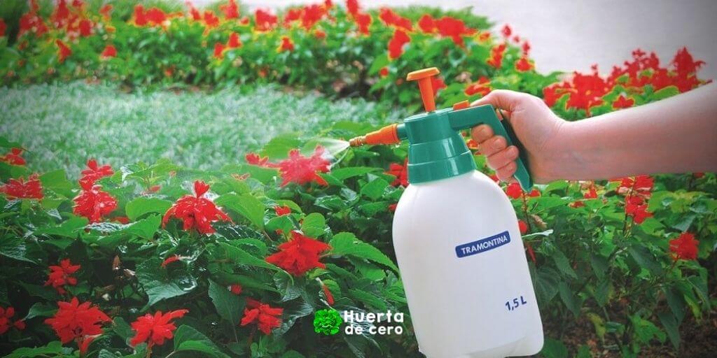 Evitar que las hormigas se suban a las plantas