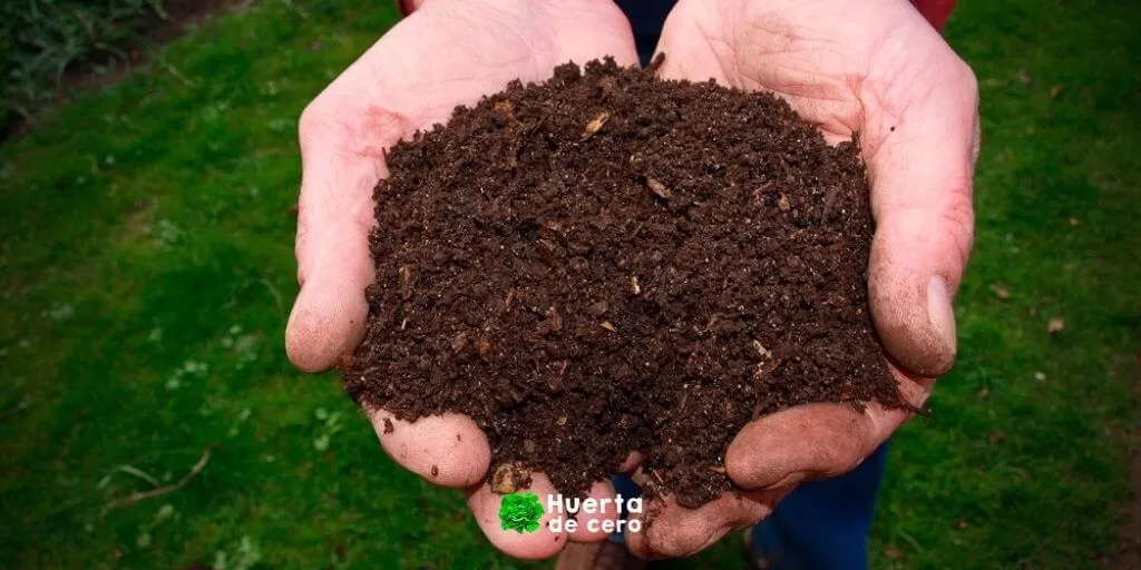 Que plantar en Abril Hemisferio Sur Abonar Que plantar en Abril Hemisferio Sur Abonar