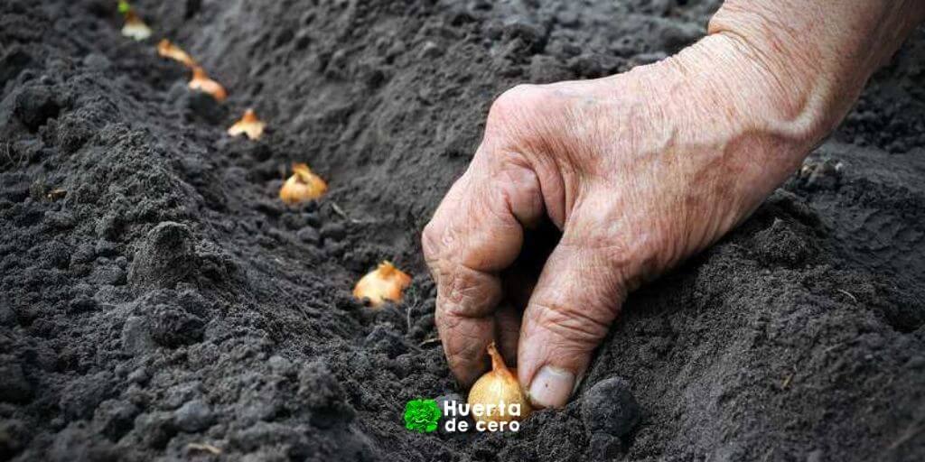 Que sembrar en Abril Hemisferio Sur Argentina Que sembrar en Abril Hemisferio Sur Argentina