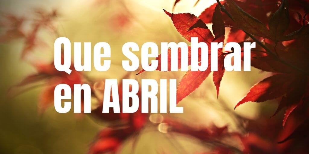Que sembrar en Abril Hemisferio Sur