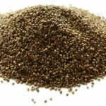 Semillas de frutillas