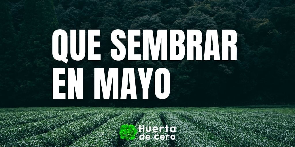 Que sembrar en Mayo en el Hemisferio Sur