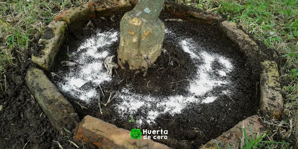 Usos de la tierra de diatomeas como plaguicida