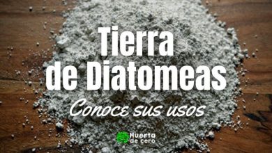 Usos de la tierra de diatomeas en la huerta