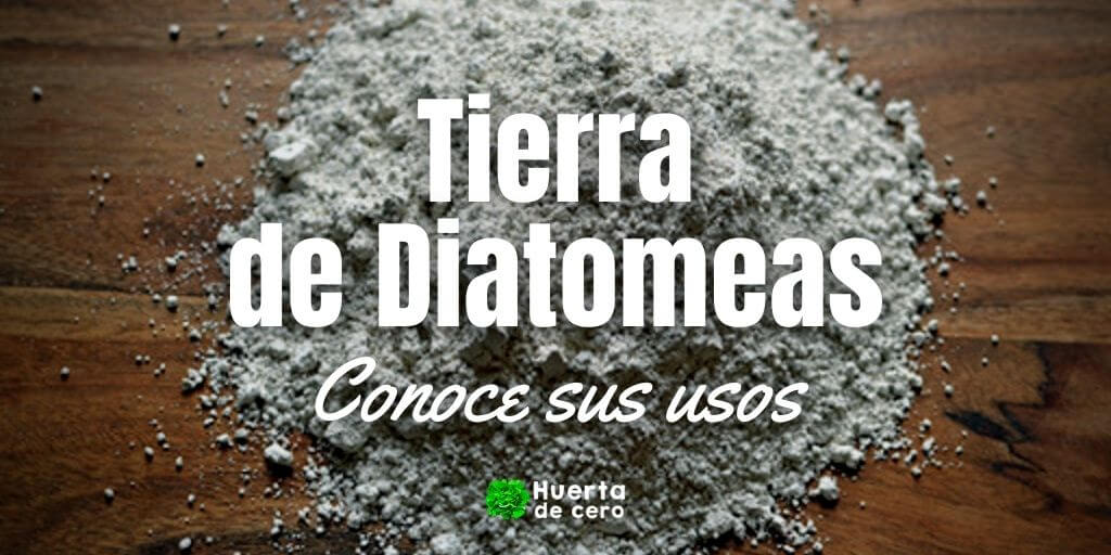 Usos de la tierra de diatomeas en la huerta