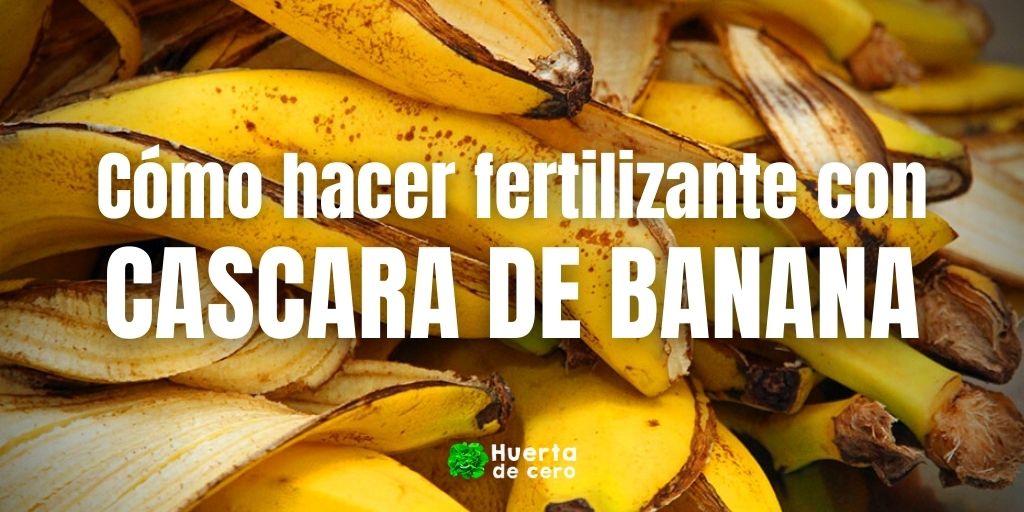 imitar Piscina Hostal ▷ Cómo hacer fertilizante con cascara de banana ❤️ 2023