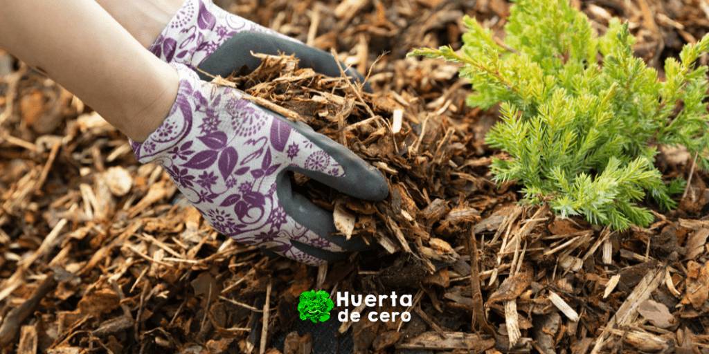 Mulching organico de hojas secas