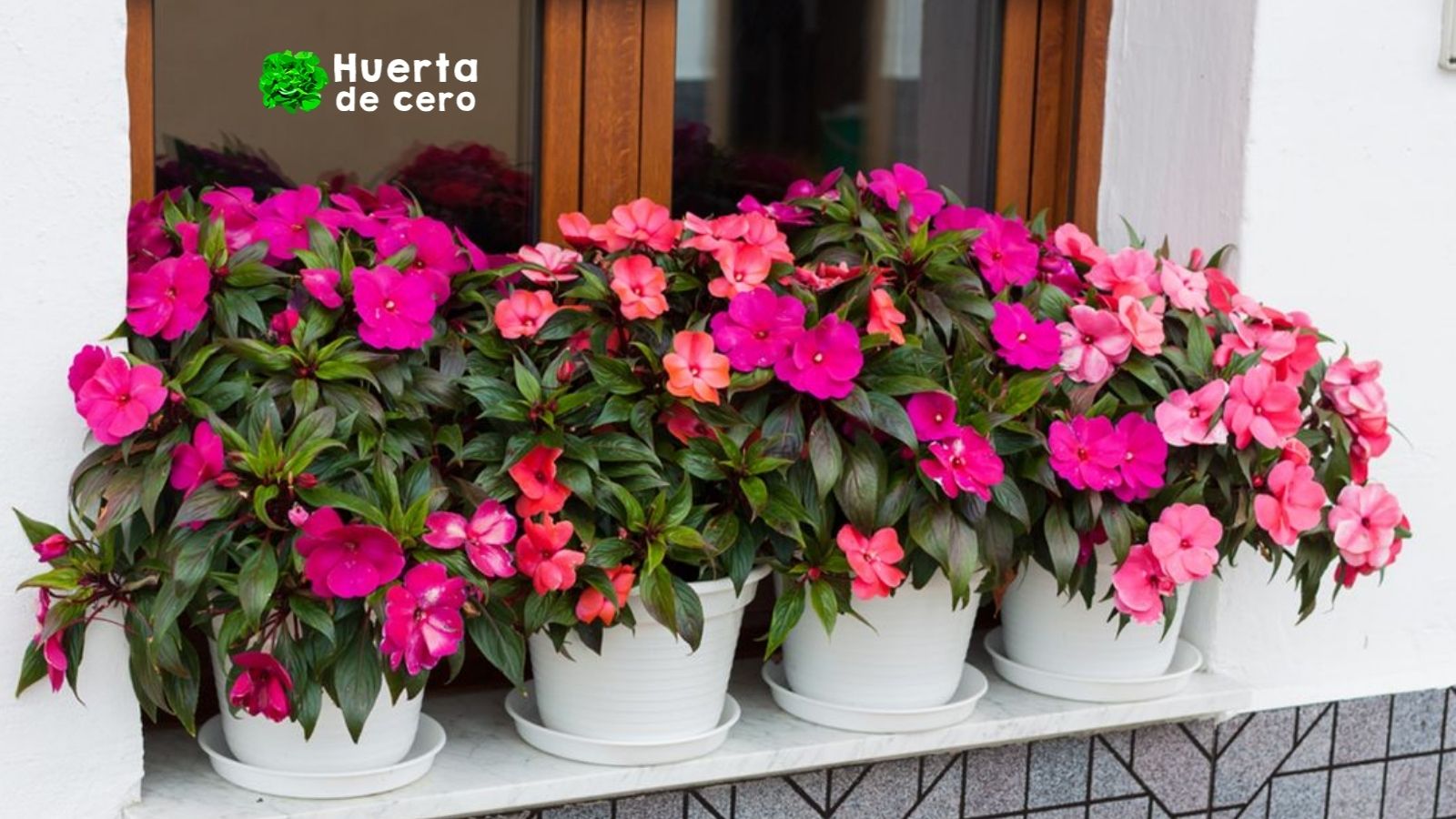 Siembra de la alegria de la casa u hogar