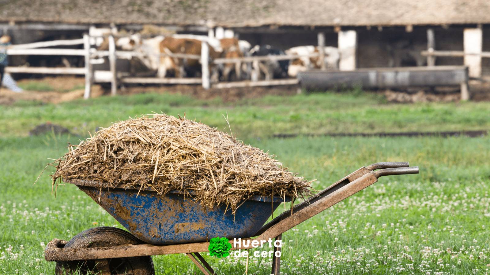 Estiercol como fertilizante natural