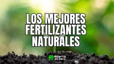 Los mejores fertilizantes Naturales