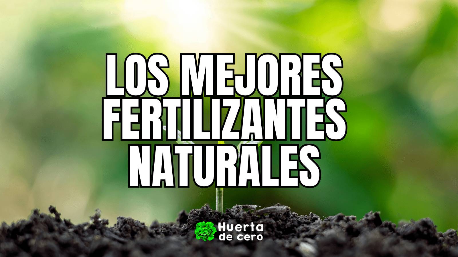 Los mejores fertilizantes Naturales