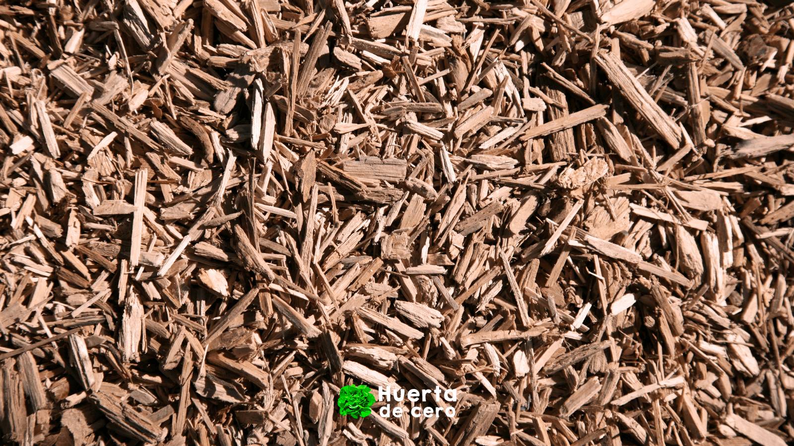 Mulching organico proteccion y nutricion