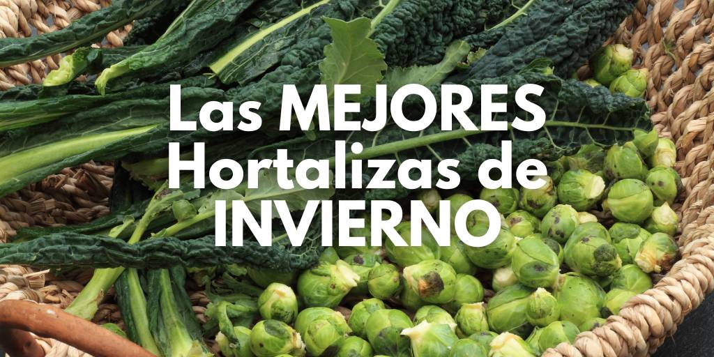 Hortalizas de invierno